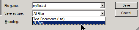 Saving a batch file with correct extension