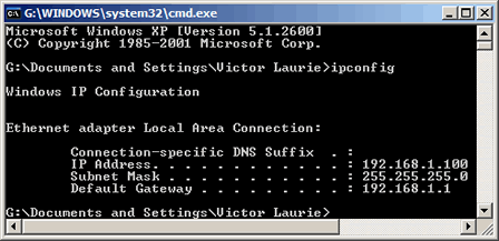 Ipconfig window for network