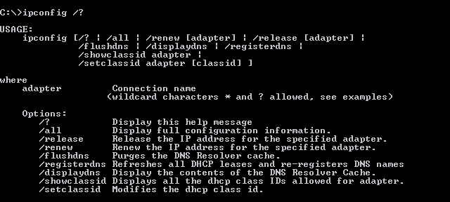 Ipconfig switches